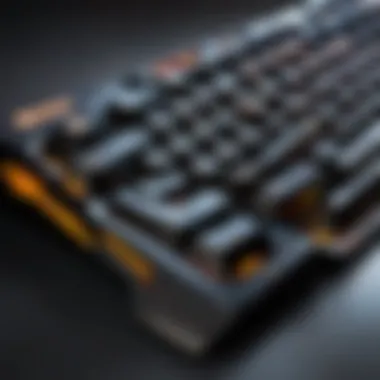 Magnificent Exploring the SteelSeries Apex 7 Tenkeyless Keyboard