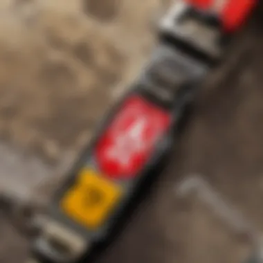 Close-up of Apex Legends lanyard showcasing unique design elements