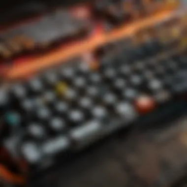 Customization Interface for SteelSeries Keyboards Customization options displayed on a SteelSeries keyboard software interface