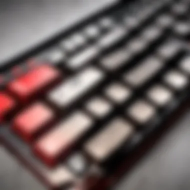 Exploring the Apex 7 Red Switch Keyboard: A Comprehensive Guide Introduction